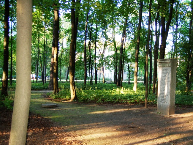 Парк Лесотехнической академии в Санкт-Петербурге